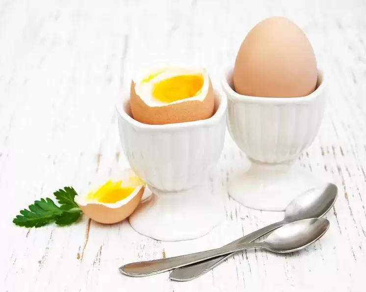 boiled eggs for the egg diet